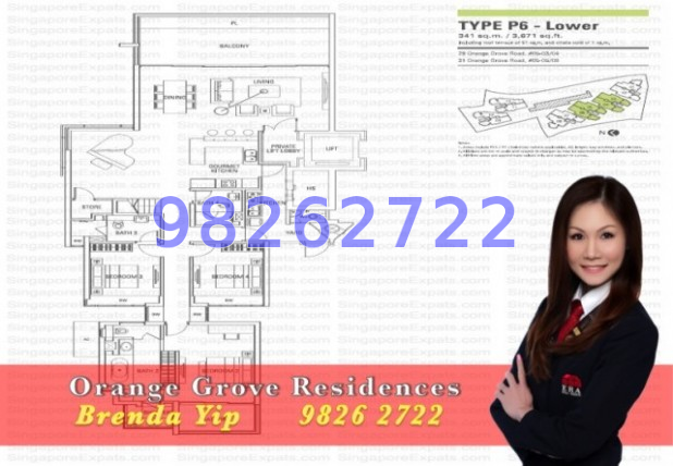 Orange Grove Residences (D10), Condominium #46069392